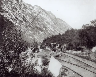 Maultierbahn in Nordamerika, späte 19. Jahrhundert